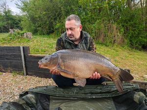 Mirror Carp
