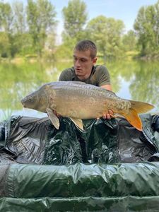 Mirror Carp