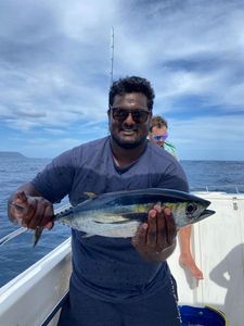 Blackfin Tuna
