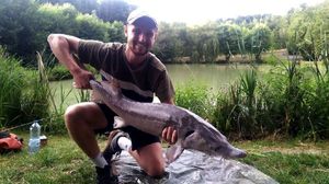 Sturgeon