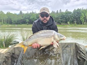 Mirror Carp