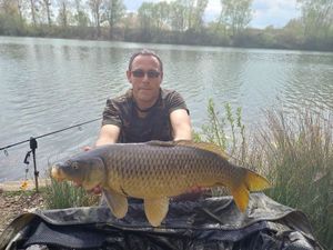 Common Carp