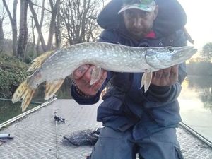 Northern Pike