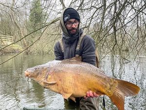 Mirror Carp