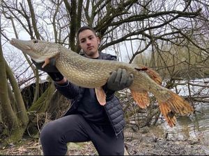 Northern Pike