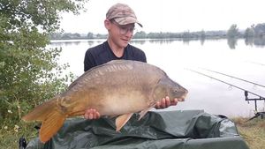 Mirror Carp