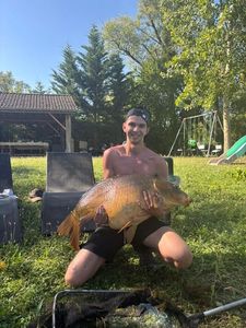 Mirror Carp