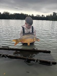 Mirror Carp