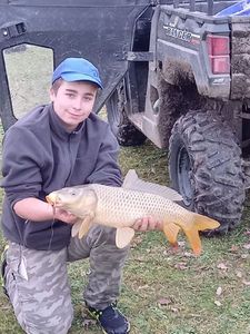 Common Carp