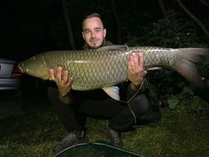Grass Carp