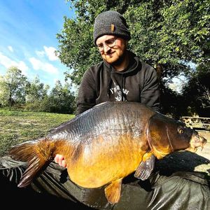 Mirror Carp