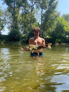 Zander