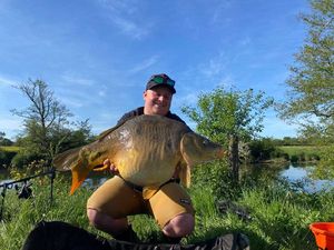 Mirror Carp