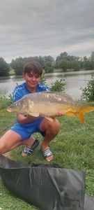 Mirror Carp