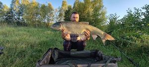 Grass Carp