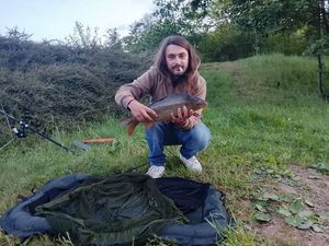 Common Carp