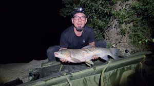 Silver Carp
