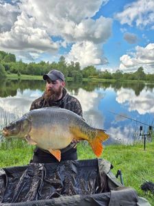 Mirror Carp