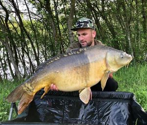 Mirror Carp