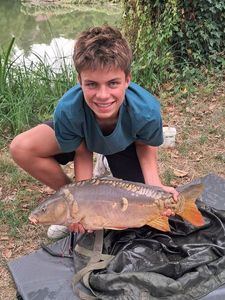 Mirror Carp