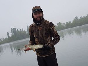 Northern Pike