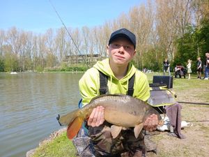 Common Carp