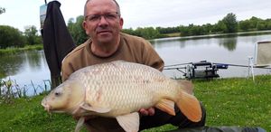 Common Carp