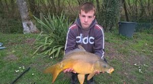 Mirror Carp