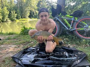Mirror Carp