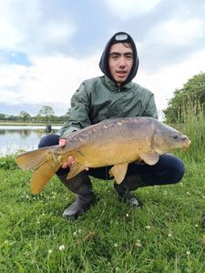 Mirror Carp