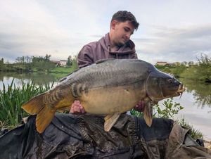 Mirror Carp