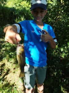 Smallmouth Bass