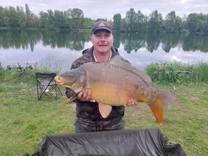 Mirror Carp