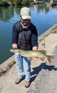 Northern Pike
