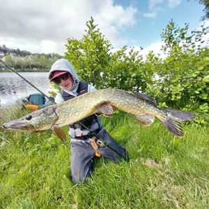 Northern Pike