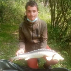 Sturgeon