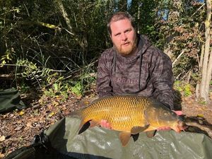 Common Carp