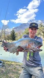 Rainbow Trout