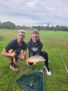Mirror Carp