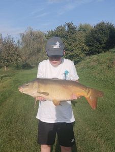 Mirror Carp
