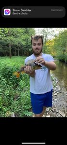 European Perch