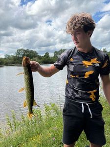 Northern Pike