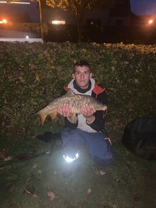 Mirror Carp