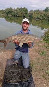 Grass Carp