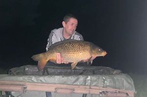 Common Carp