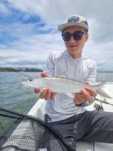 Bonefish