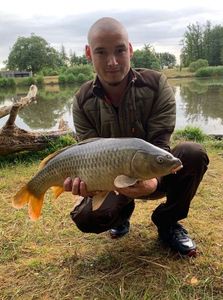 Common Carp