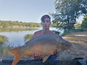 Mirror Carp
