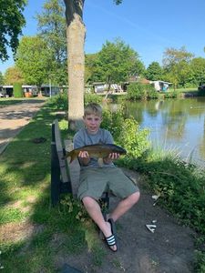 Common Carp