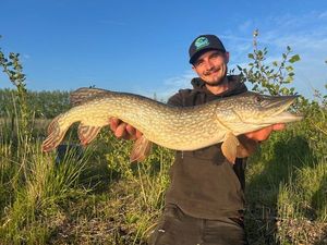 Northern Pike